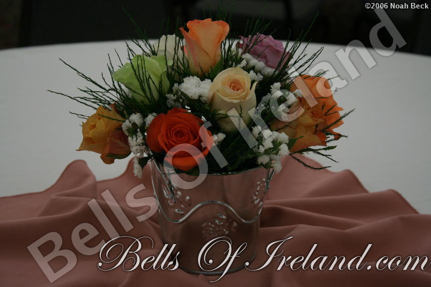 boi_2006b-pic-006