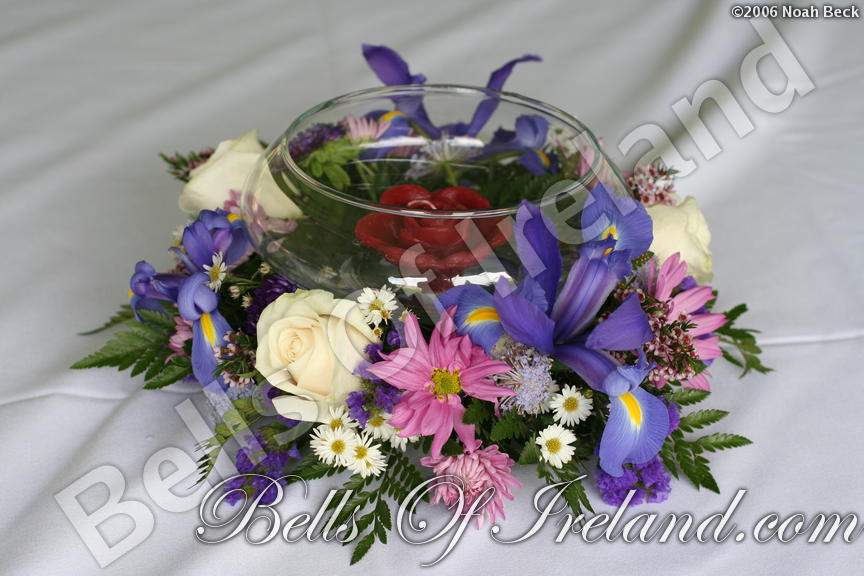 boi_2006b-pic-044