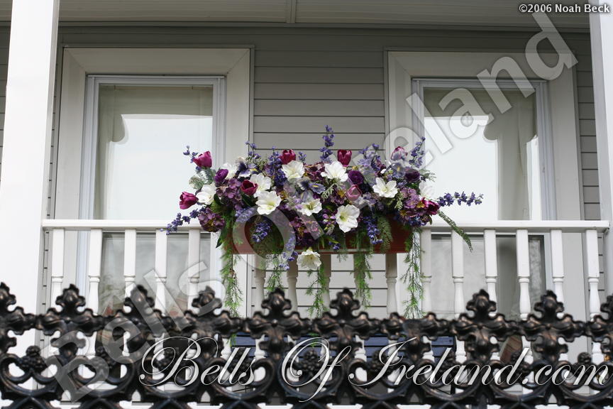 boi_2006b-pic-115