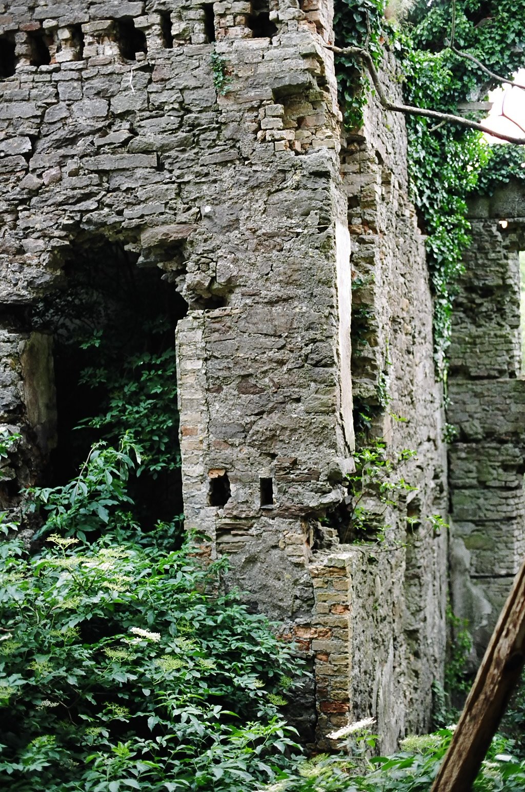 ireland-leap_castle_ruins