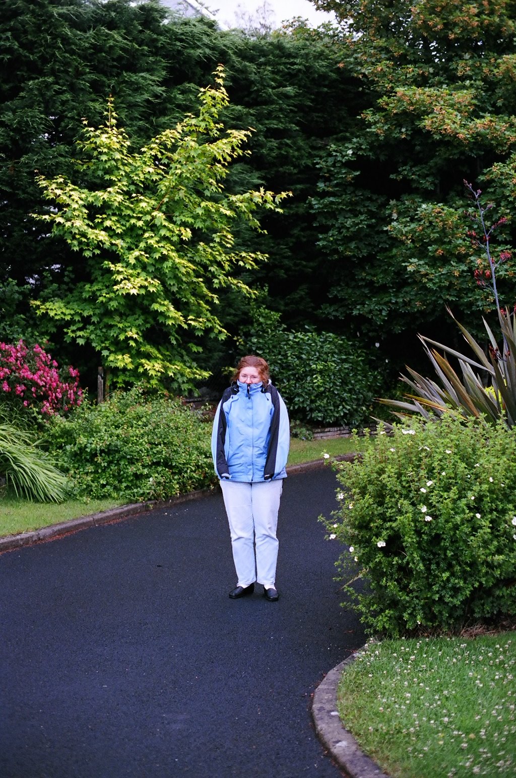 ireland-roz_cold_tudor_lodge