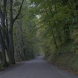 ne-foliage_eastern-nh-04