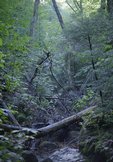 lonesome-lake_trail-small-stream