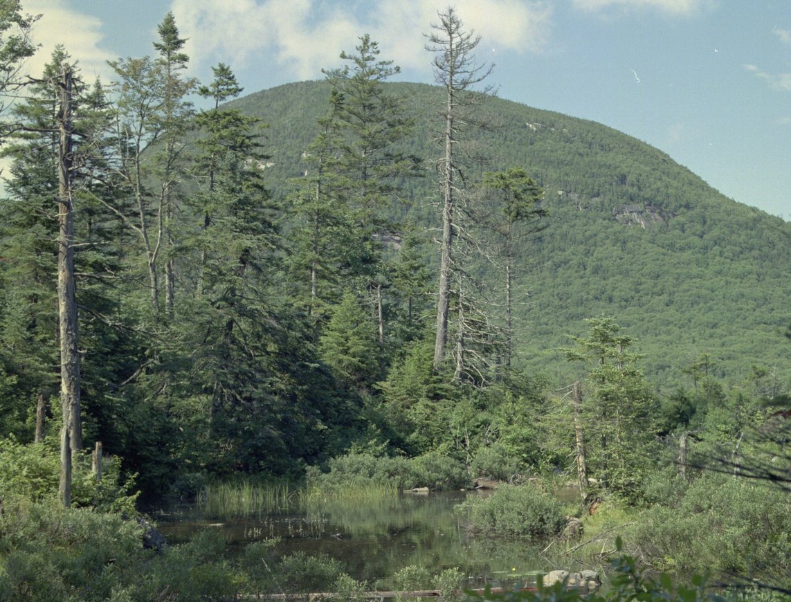 lonesome-lake_pool-cannon