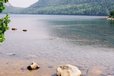 acadia_jordan-ducks-1