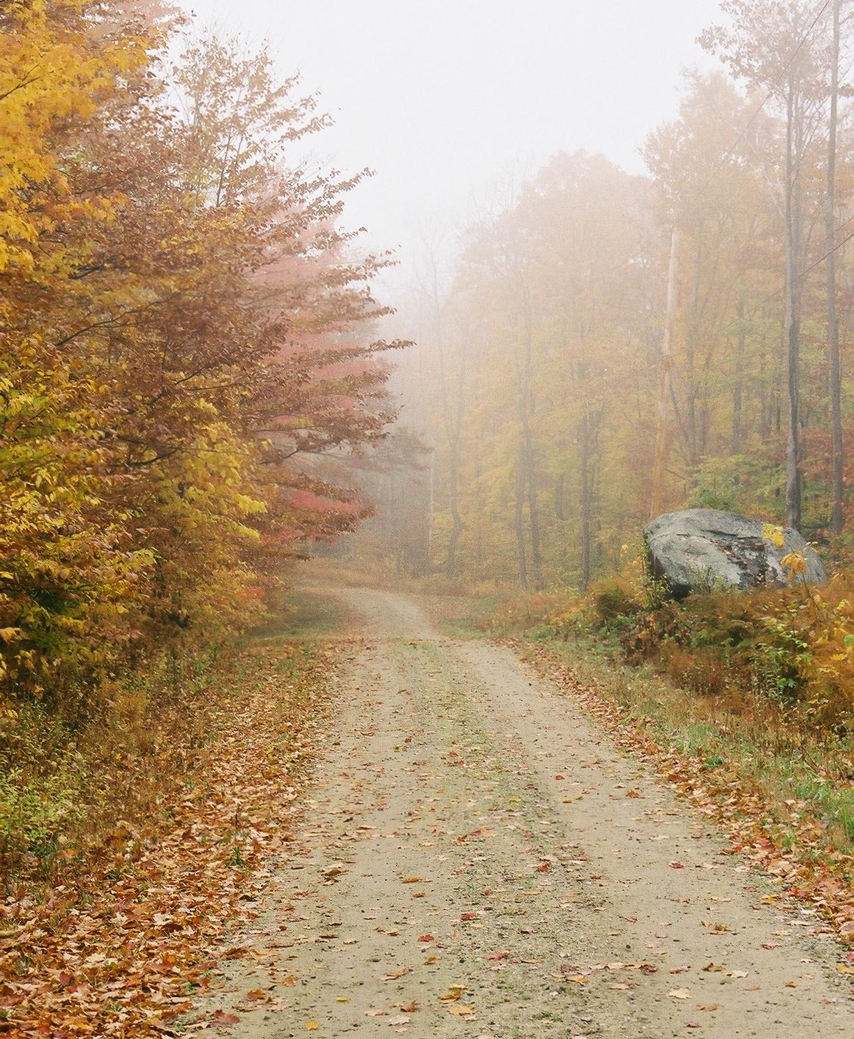 ne-foliage_gravel-road-mist