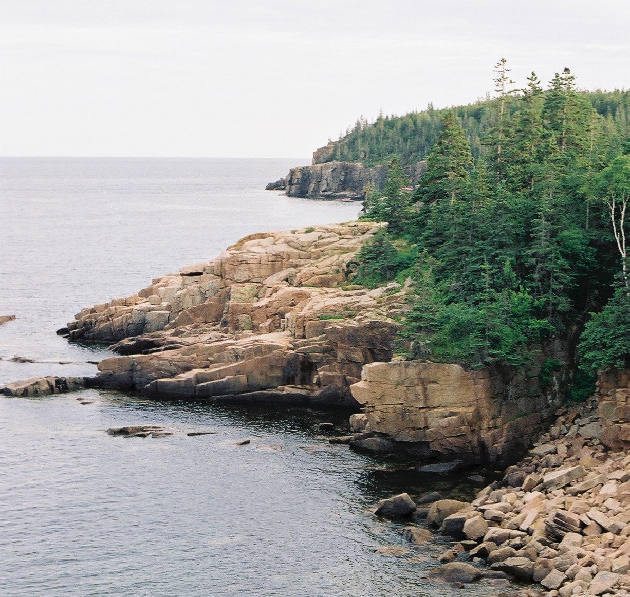 acadia_rocky-coast-3
