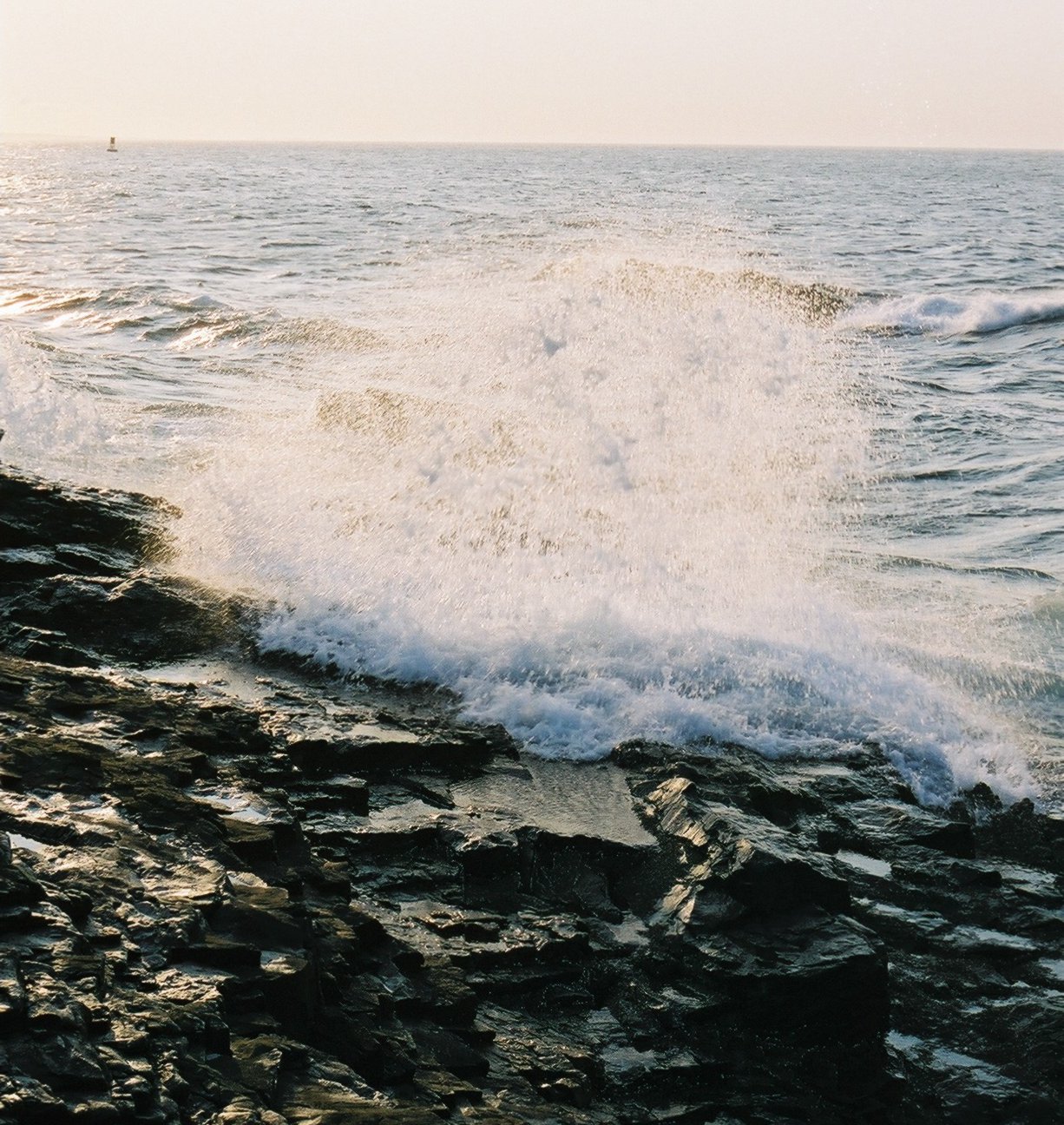 acadia_rocky-coast-7