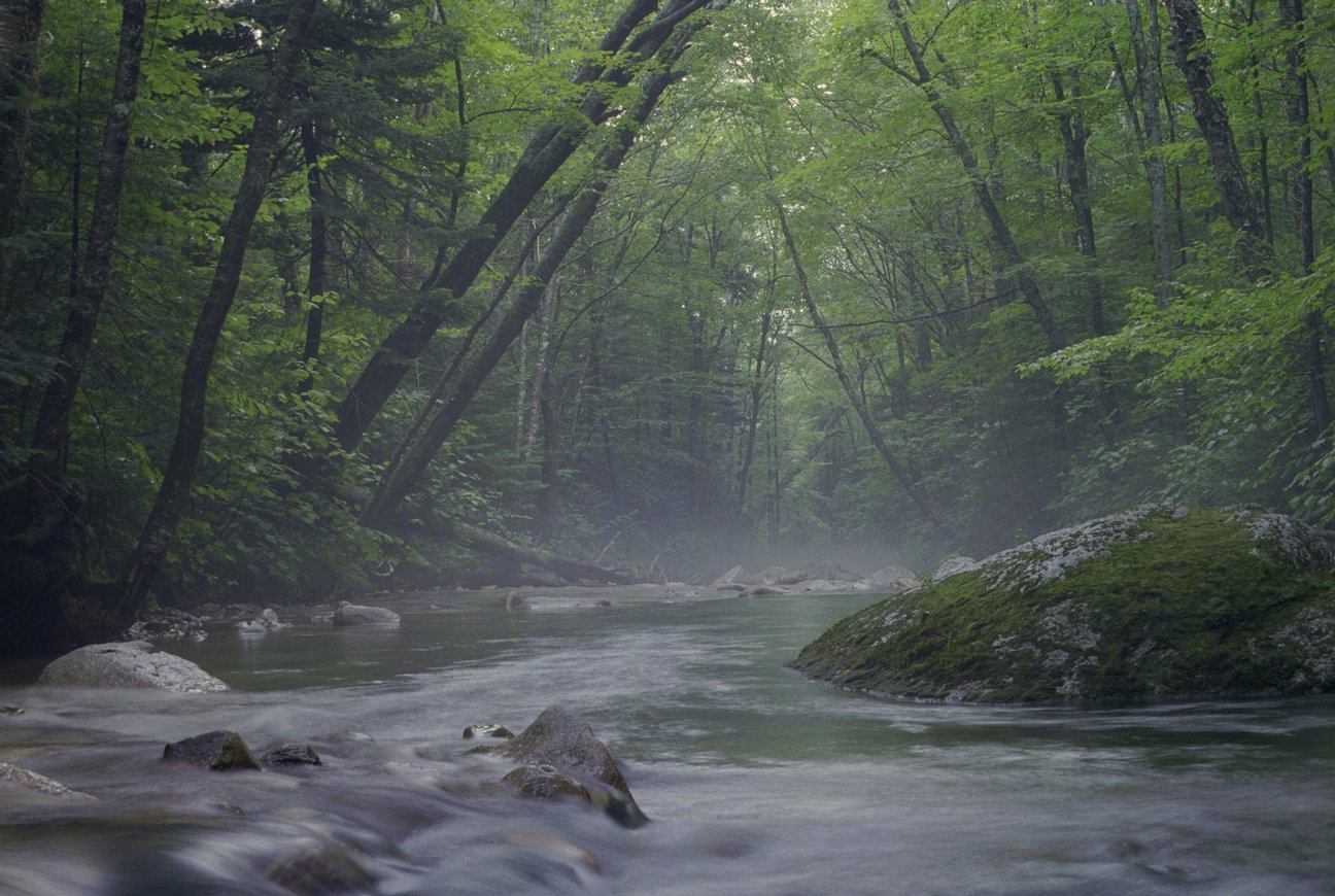lonesome-lake_foggy-creek-3