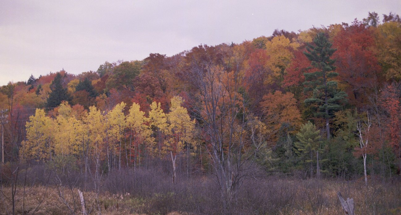 ne-foliage_vermont-foliage-11