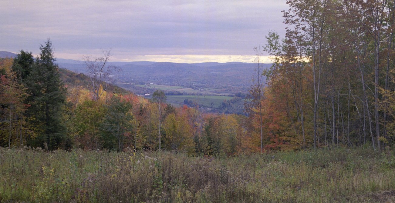 ne-foliage_near-adams-19