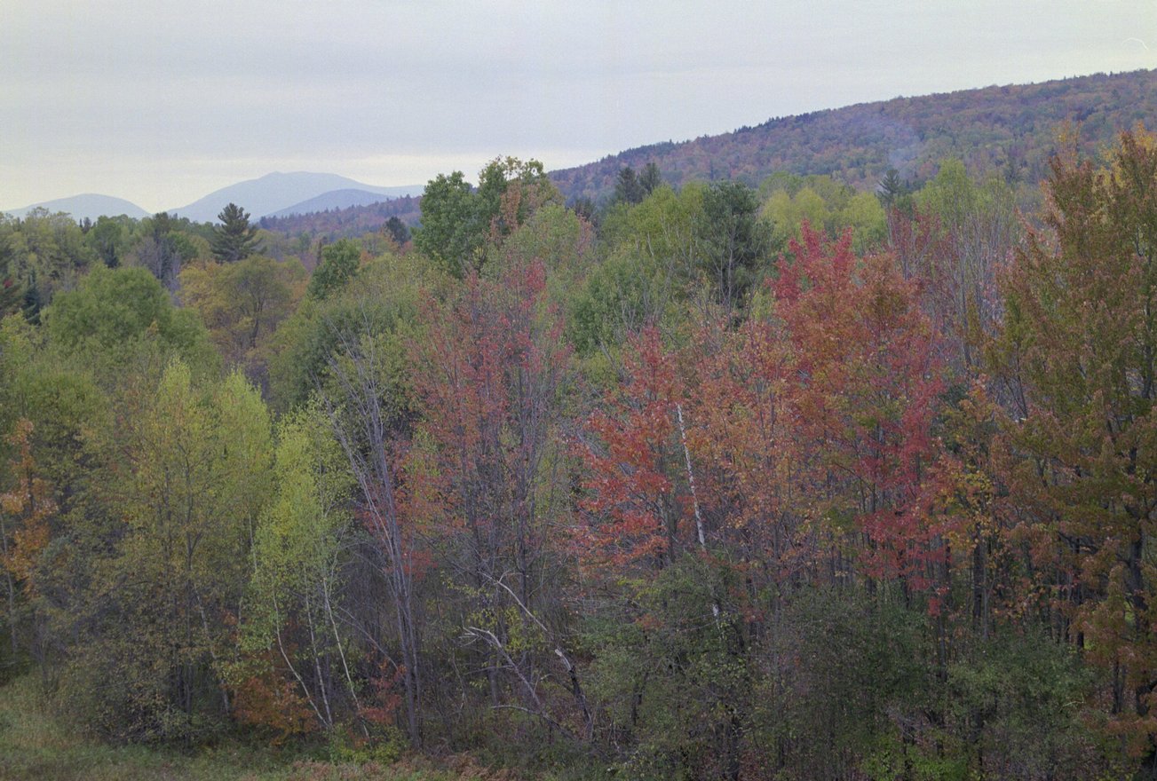 ne-foliage_eastern-nh-22