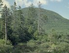 lonesome-lake_pool-cannon