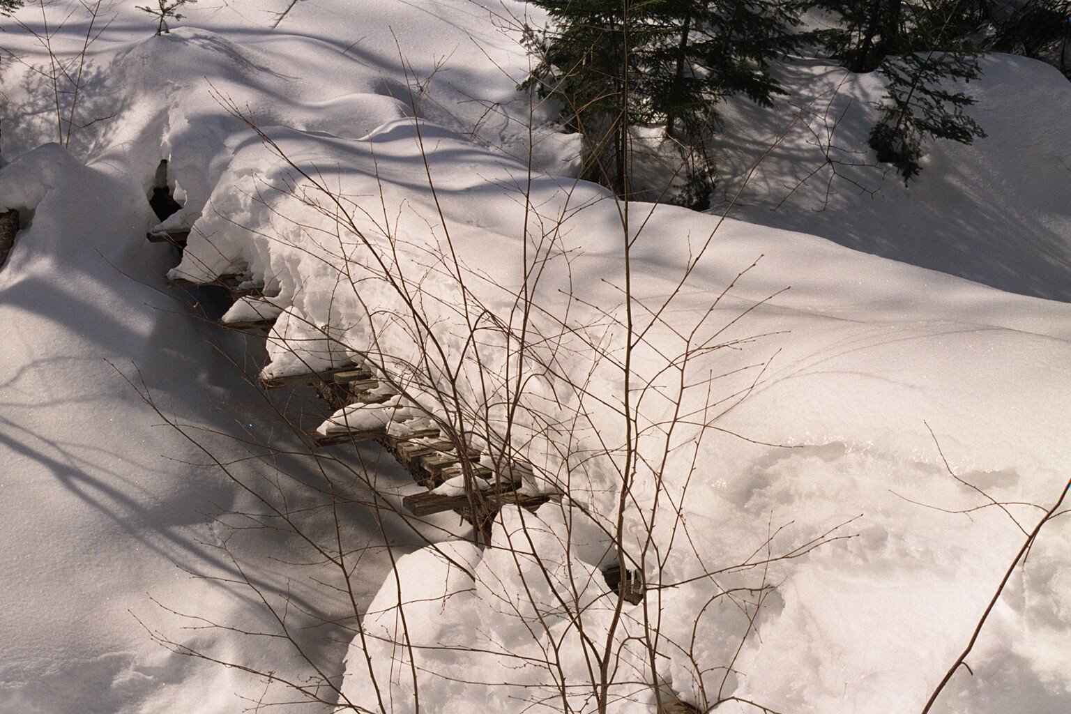 miscellaneous_gordon-pond-trail-bridge