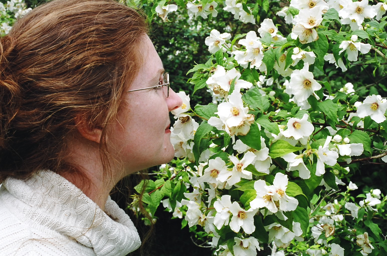 ireland-birr_castle_roz_sniffing