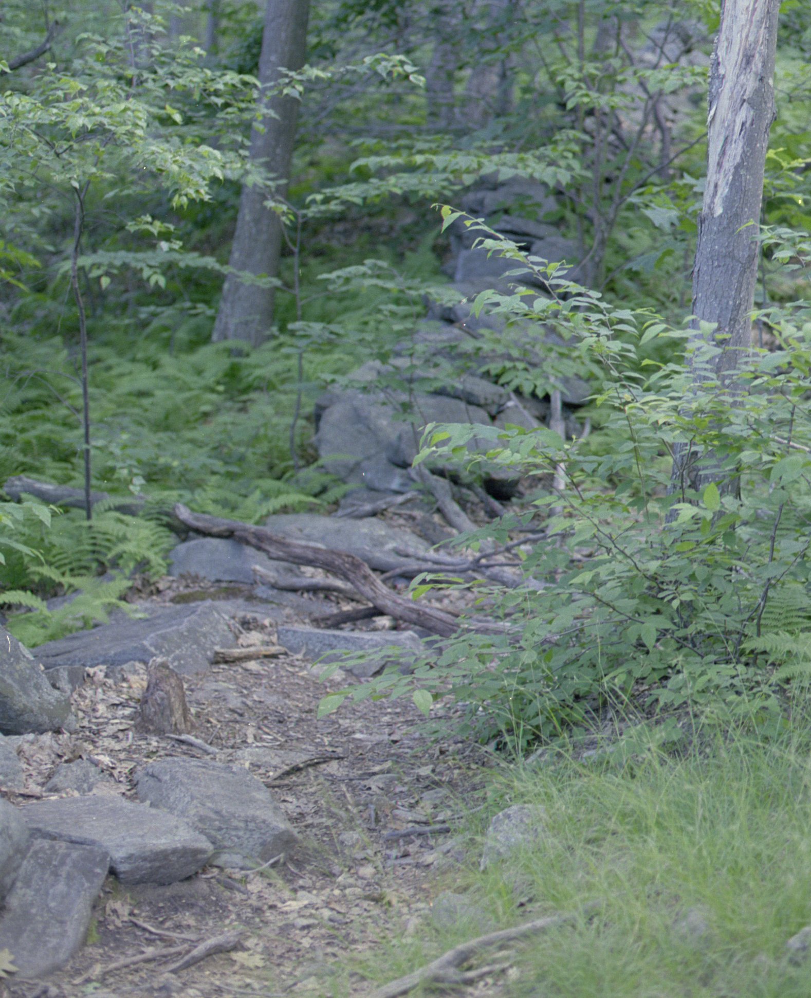 pack-monadnock_old-rock-wall