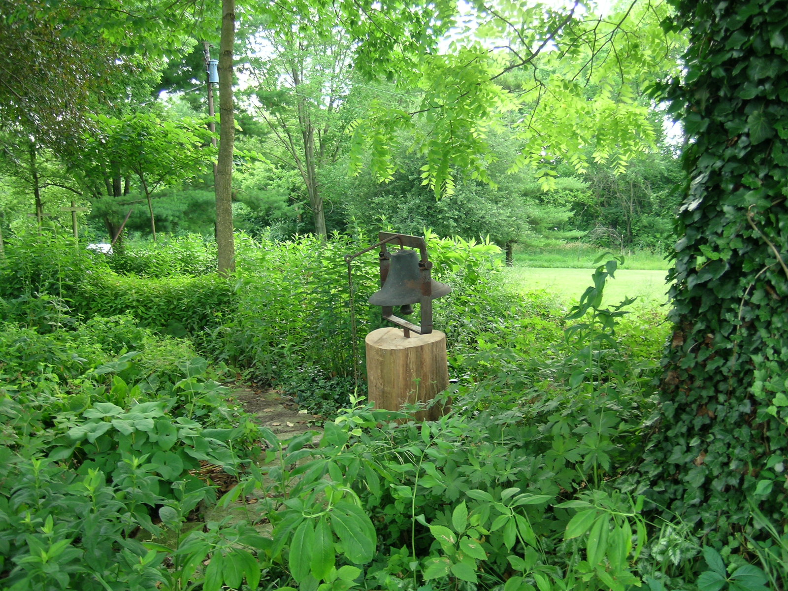 wedding-bell