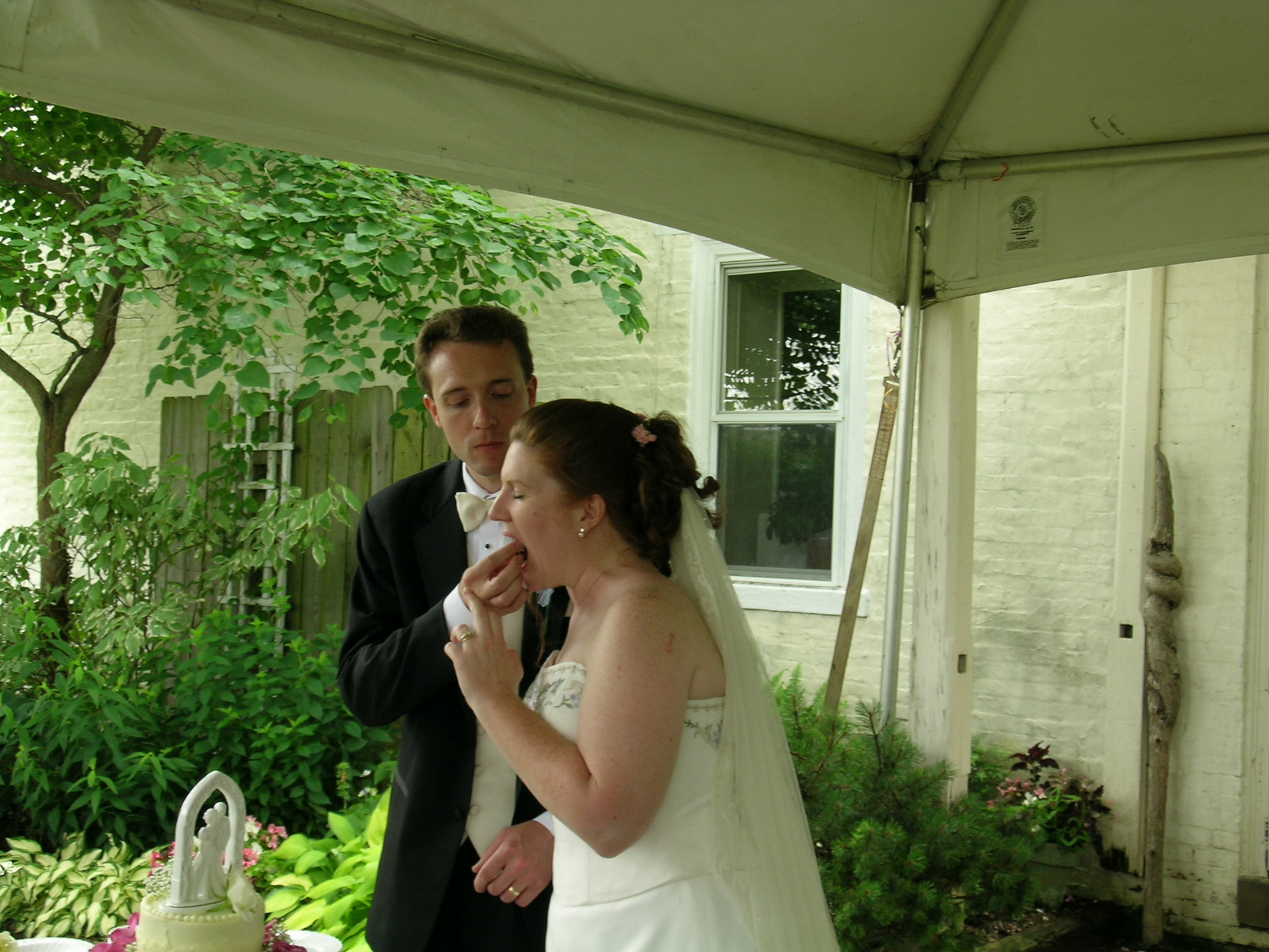 wedding-cake_feeding