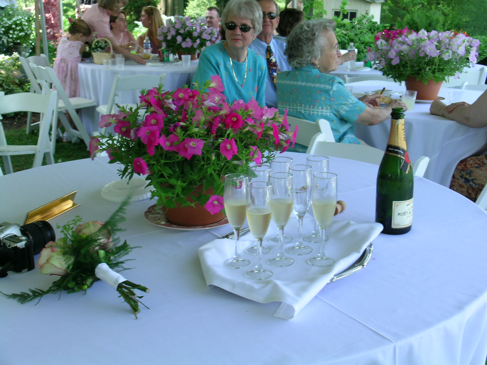 wedding-pre_toast
