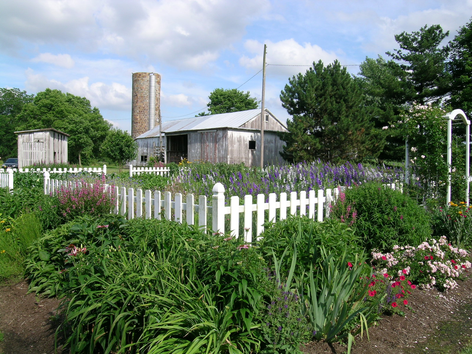 wedding-scenes_barn_sm_arbor_sunshine