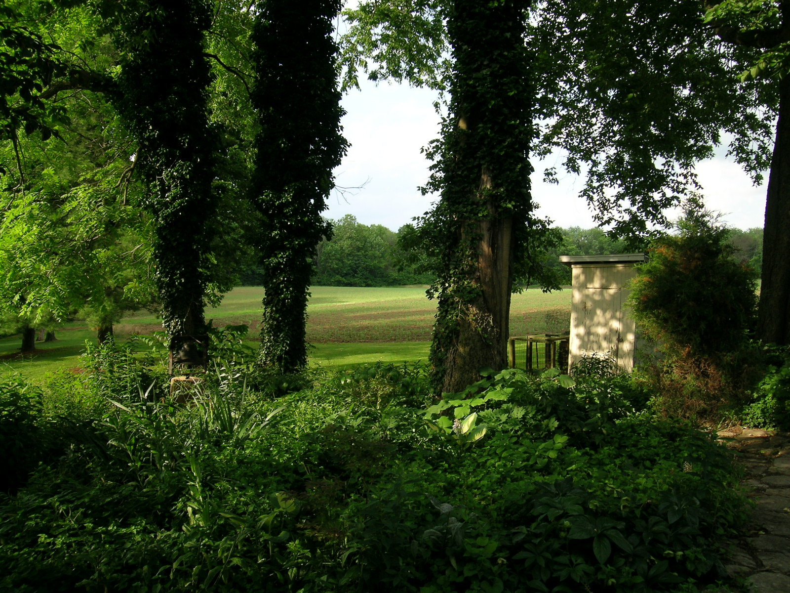 wedding-scenes_shade_garden
