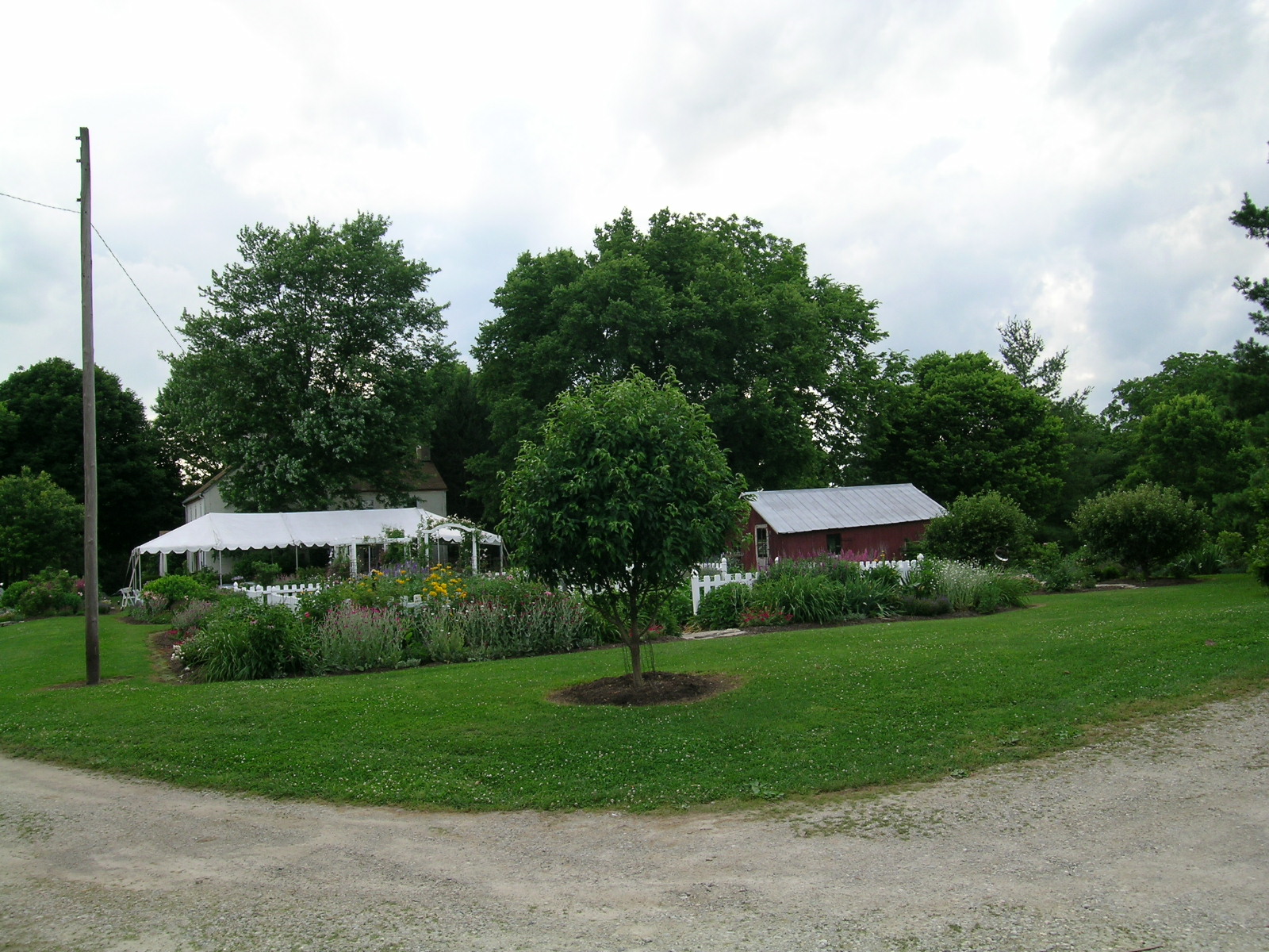 wedding-scenes_veg_barnyard