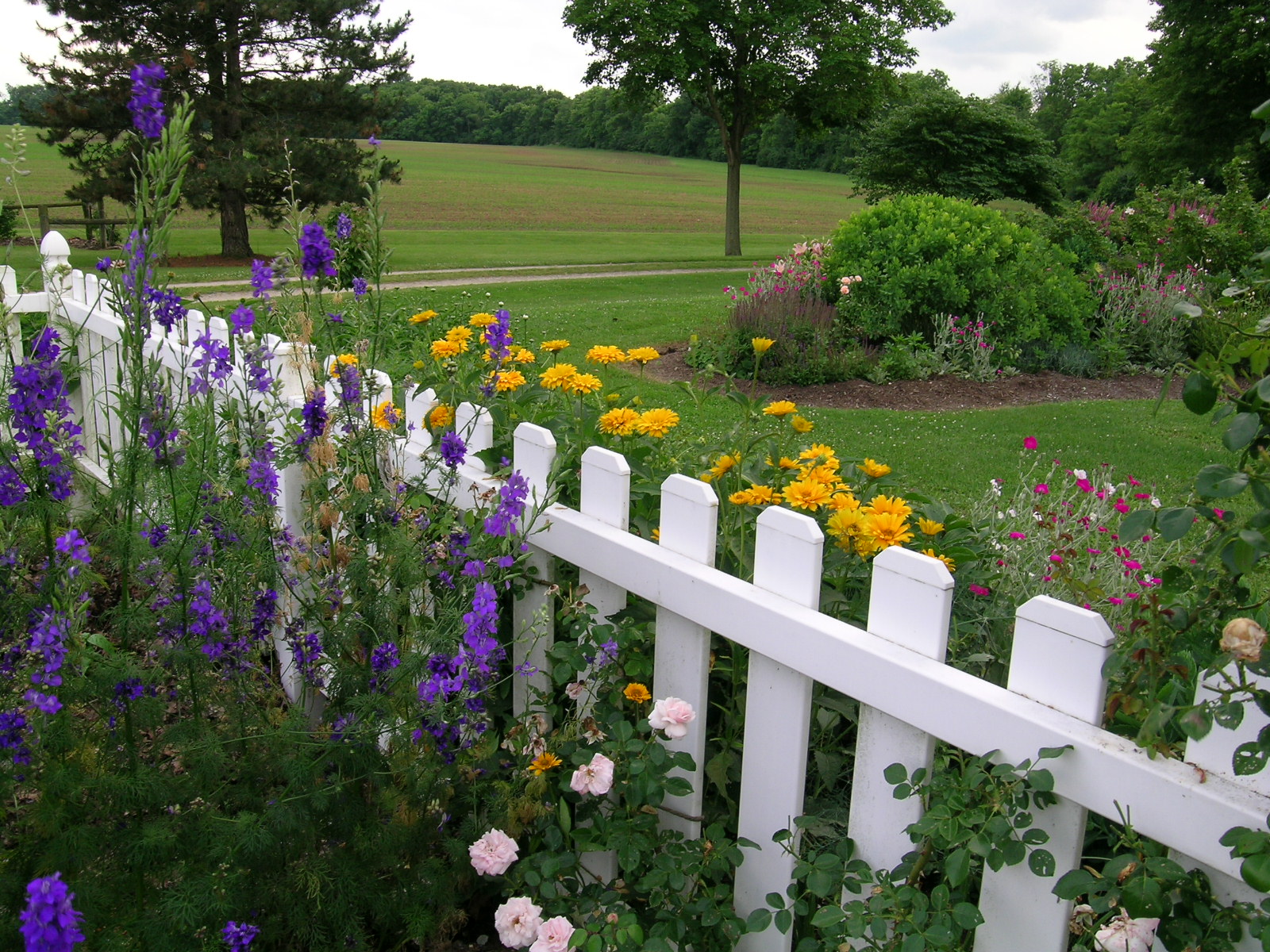 wedding-scenes_west_veg_flower_fence