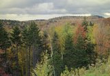 ne-foliage_100-mile-view-17