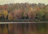 ne-foliage_windsor-jambs-06