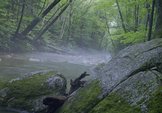lonesome-lake_foggy-creek-2