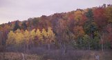 ne-foliage_vermont-foliage-11