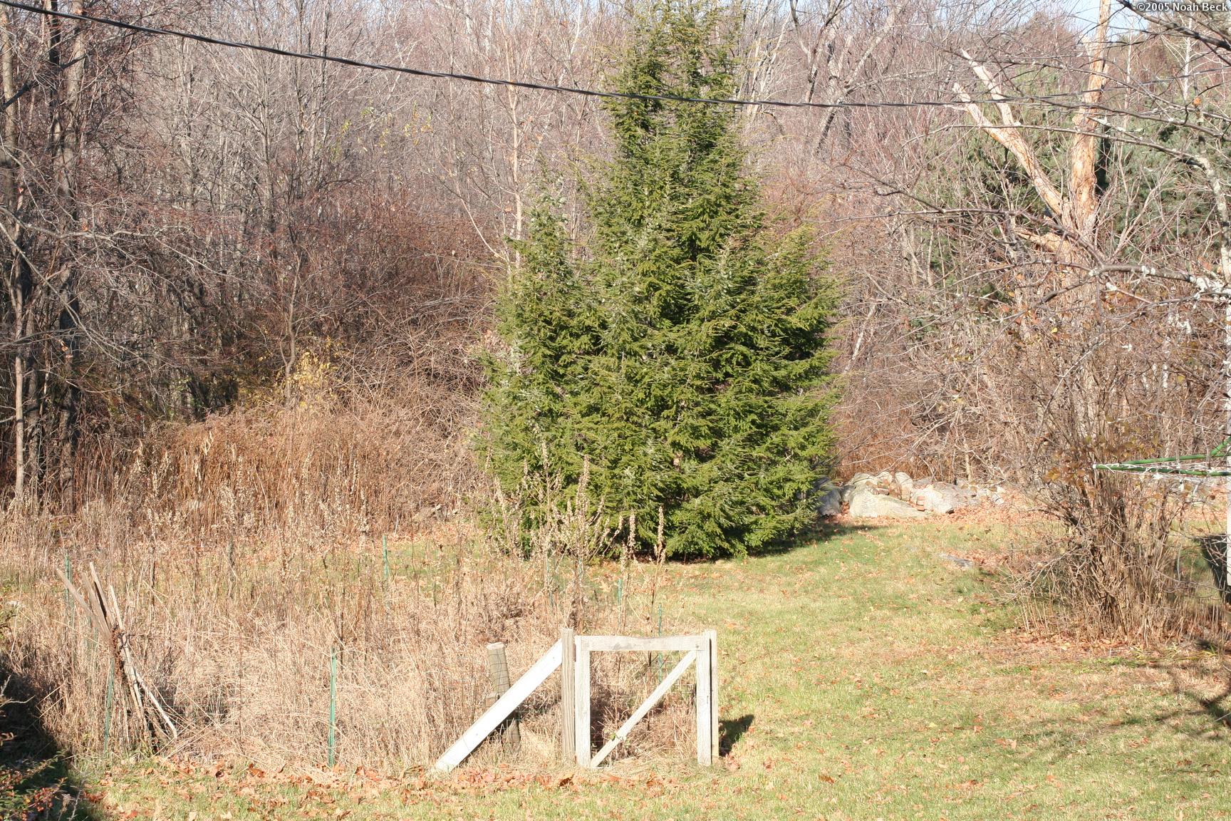 princeton-house2_pic-0240