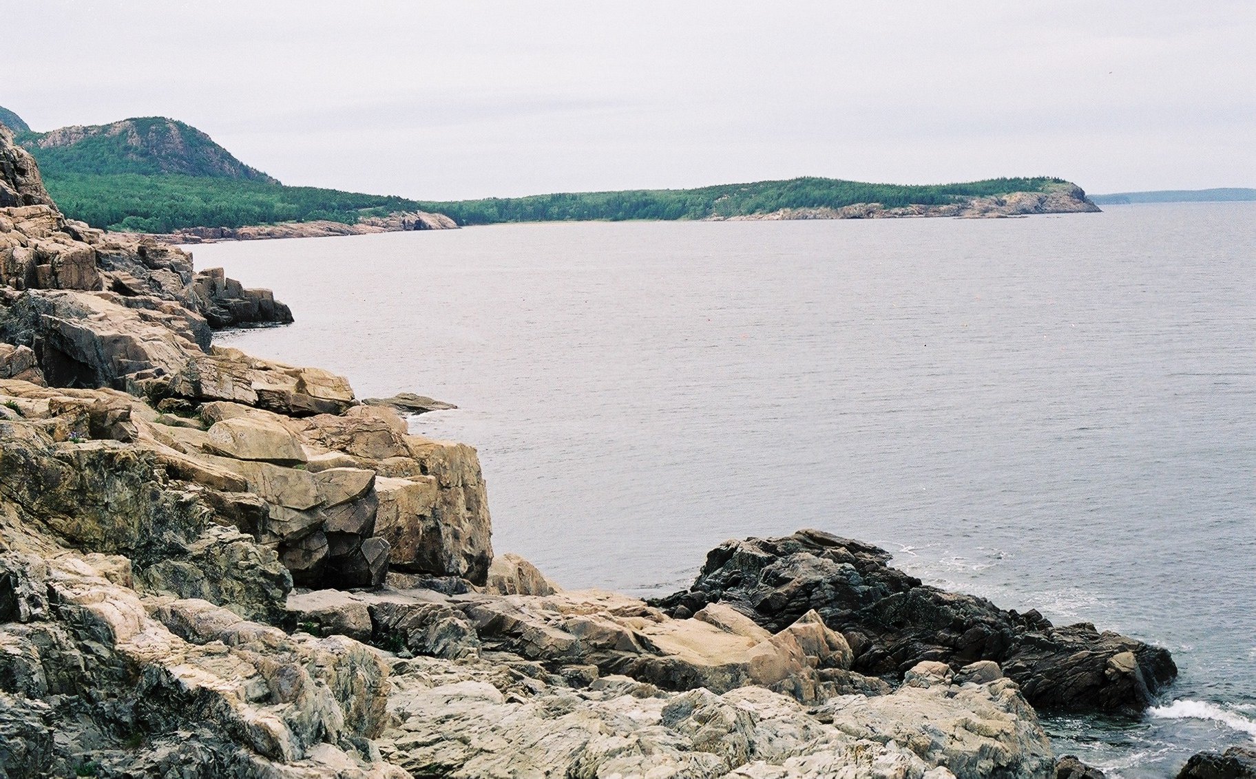acadia_rocky-coast-4