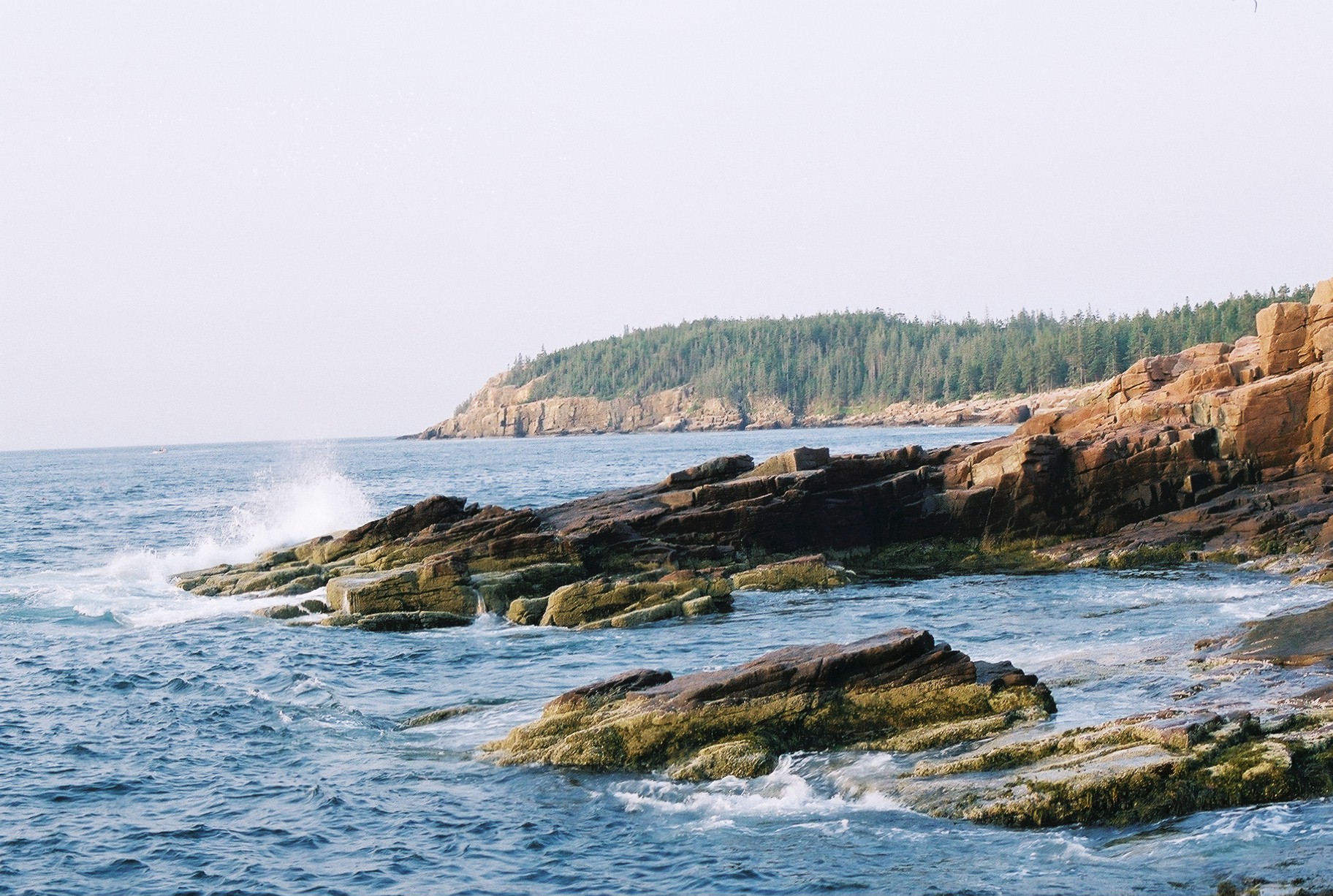 acadia_rocky-coast-5