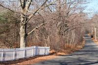 princeton-house2_pic-0130