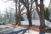 princeton-house2_pic-0140