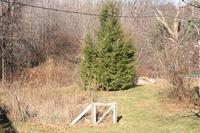 princeton-house2_pic-0240