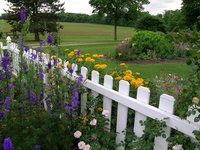 wedding-scenes_west_veg_flower_fence
