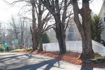 princeton-house2_pic-0140