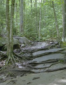 lonesome-lake_lower-trail