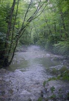 lonesome-lake_foggy-creek-1