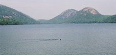 acadia_jordan-ducks-bubbles-1
