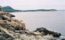 acadia_rocky-coast-4