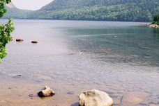 acadia_jordan-ducks-1