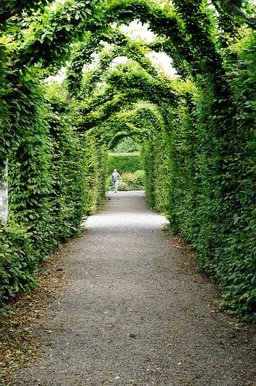 ireland-birr_castle_gardens_archway_roz