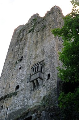 ireland-blarney_castle_back