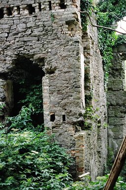 ireland-leap_castle_ruins