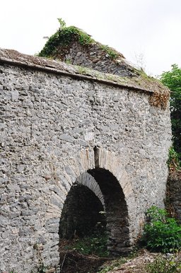 ireland-leap_castle_side_ruins2