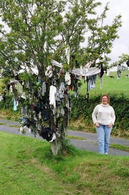 ireland-st_kierans_bush_roz
