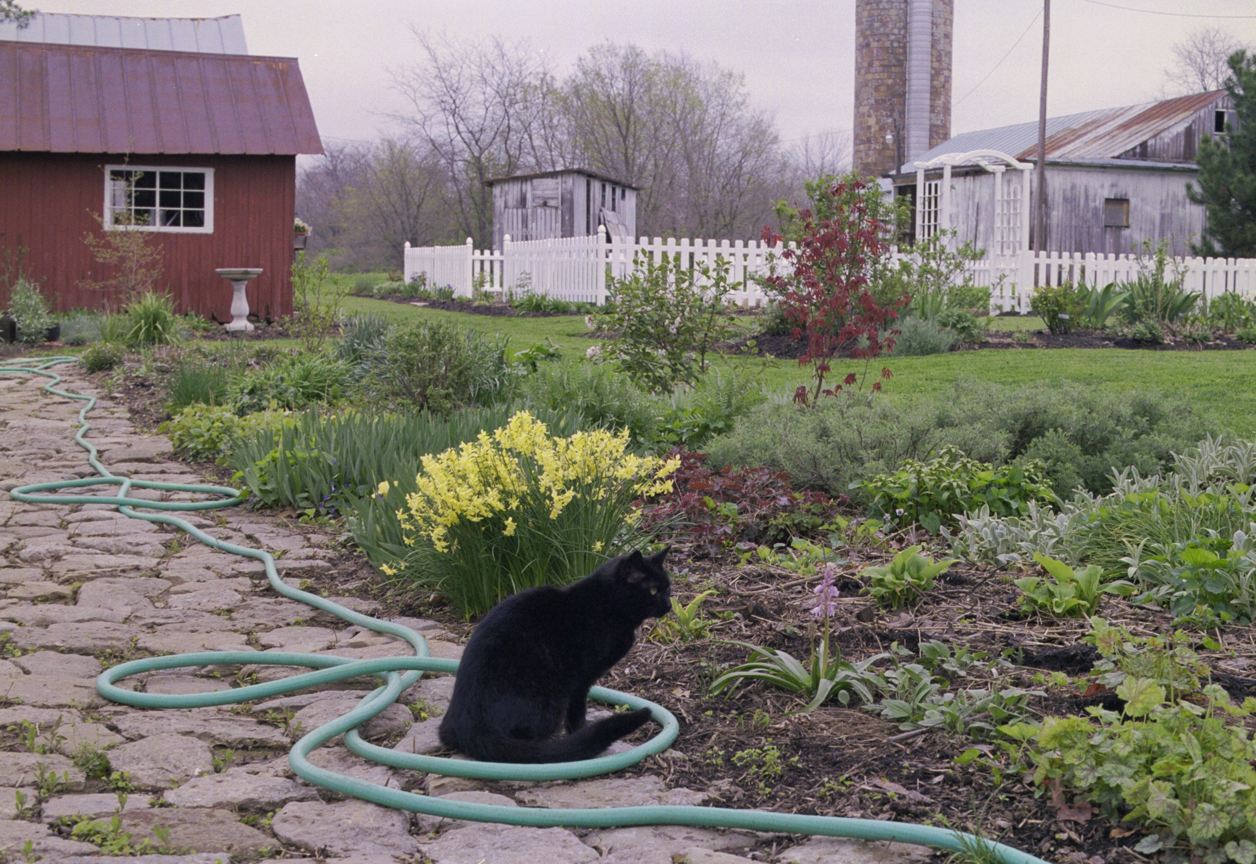 miscellaneous_oliver-flower-garden